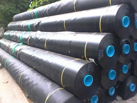 Màng nhựa PVC